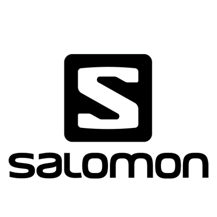 salomon stormfeel jacket